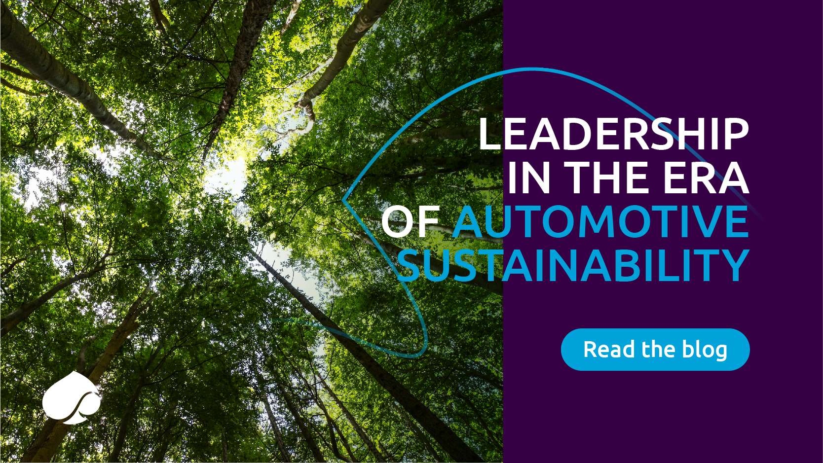 Management within the technology of automobile sustainability