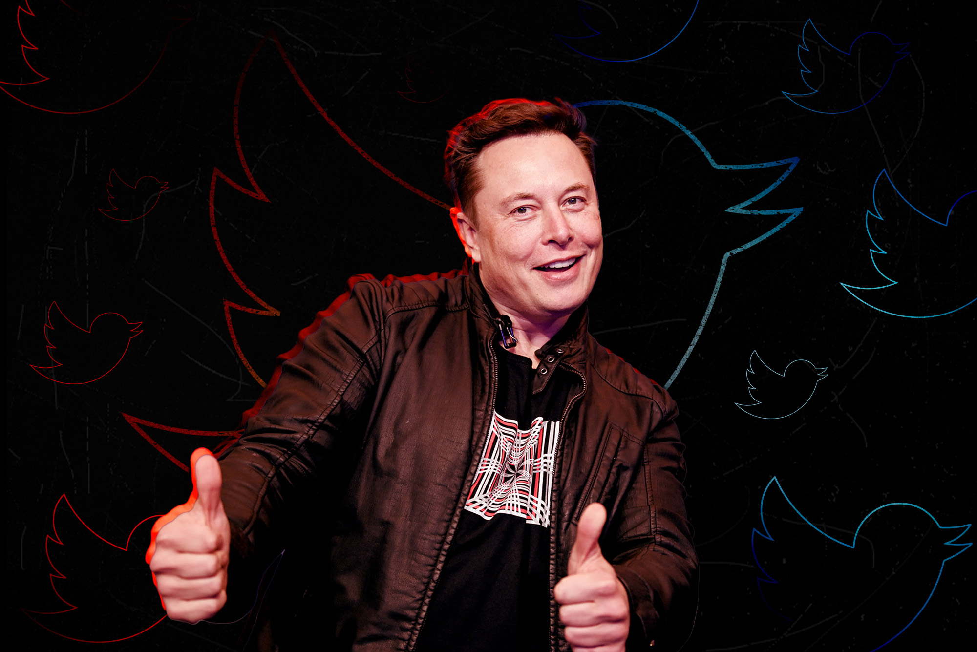 Elon Musk does not wish to purchase Twitter anymore | Virtual Developments